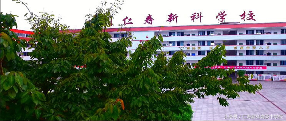 仁寿新科高级中学官网,仁寿新科高中简介