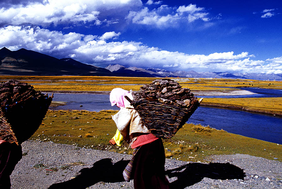 你是不是想出去旅游,你是不是很想去游乐园玩