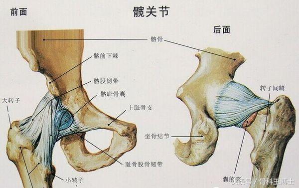 老年人骨性关节炎最新治疗技术,老年人膝关节骨关节炎怎么治疗