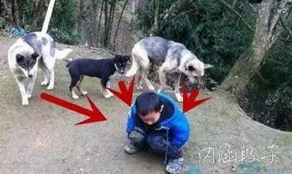 十则笑语（1）小撸怡情大撸伤身想他这样强撸的灰飞烟灭