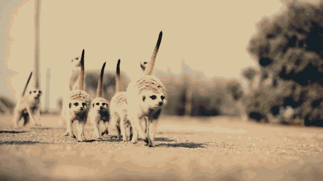 一生必去的地方,一生必去的地方高清