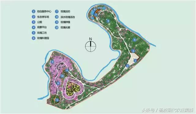 来穿越花海赴春天的约会,龙丽威大马士革玫瑰庄园