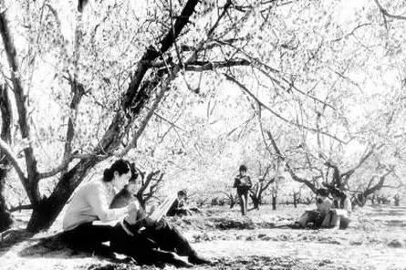 陕西省高考还分ab卷吗,陕西高考分ab卷吗