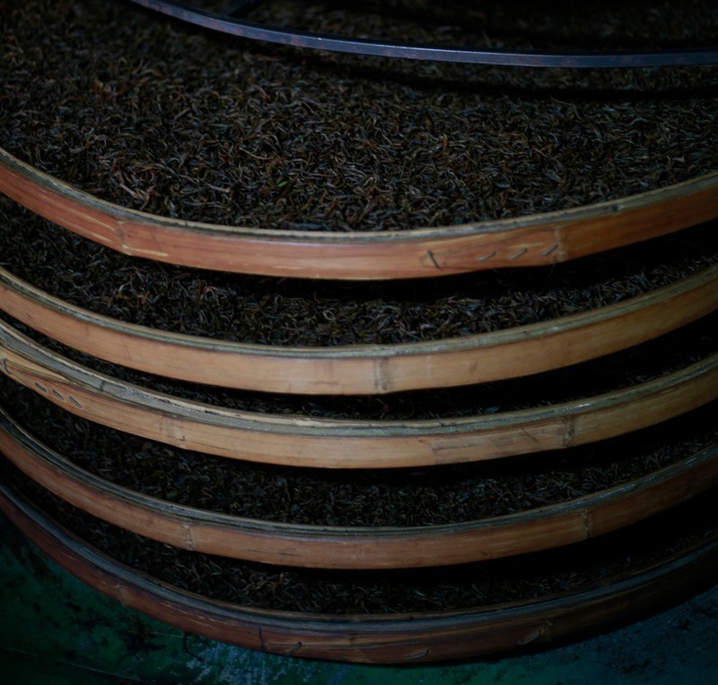 真正的金骏眉是什么样子的,金骏眉究竟什么样子的