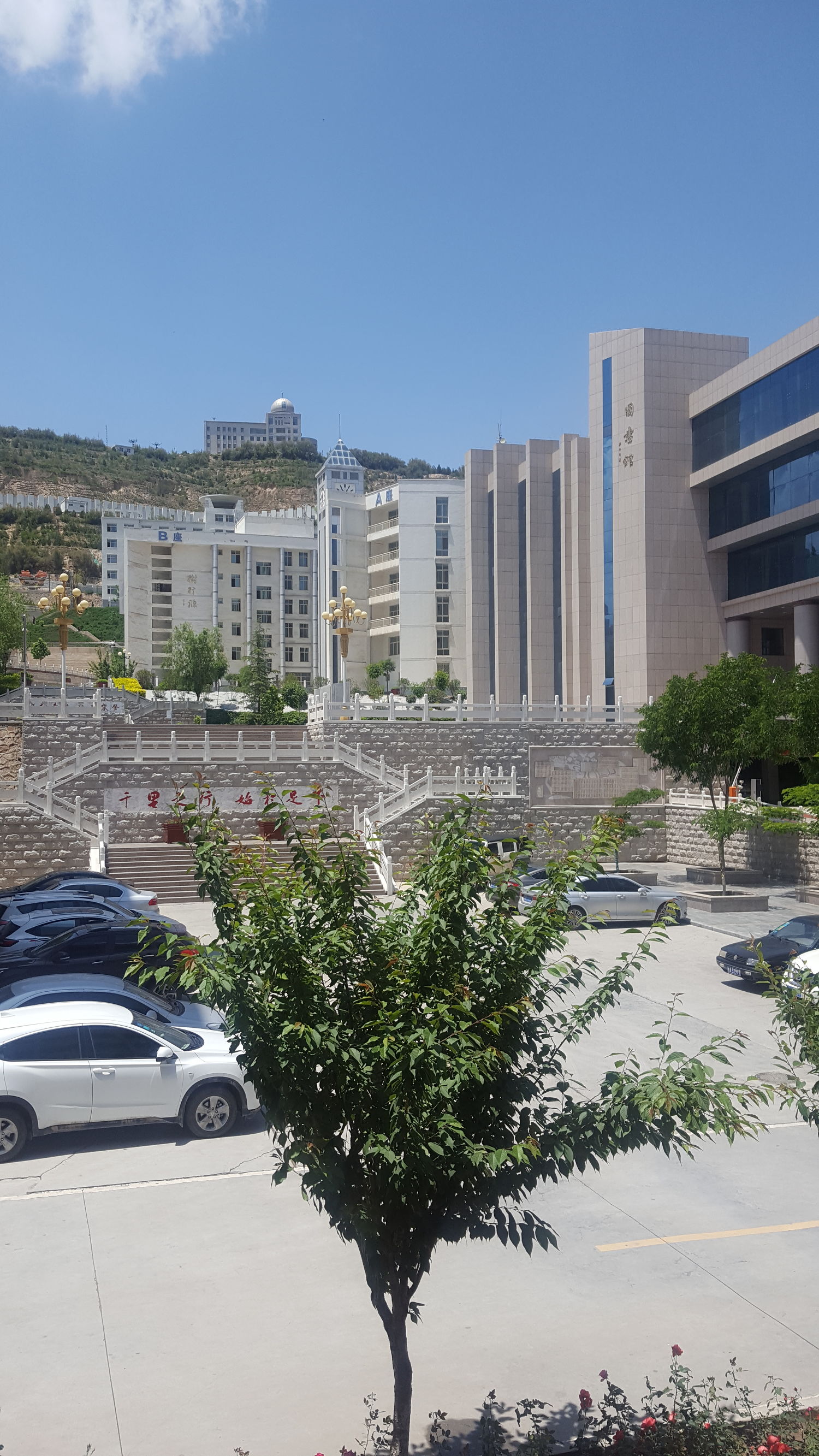 加强高等职业院校学生的技能培训,高等职业教育实训基地