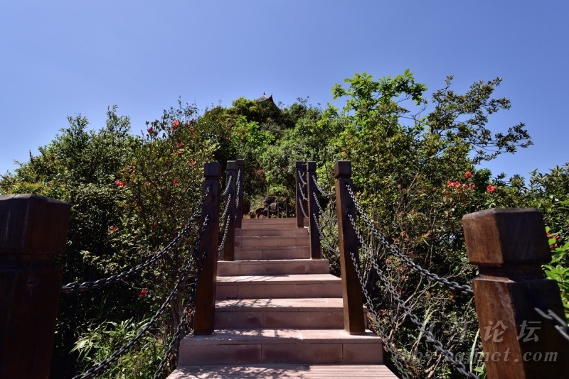 江津古色古香古镇,江津隐藏的地方