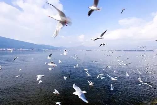 12月北京出发最便宜机票,6月机票哪里最便宜