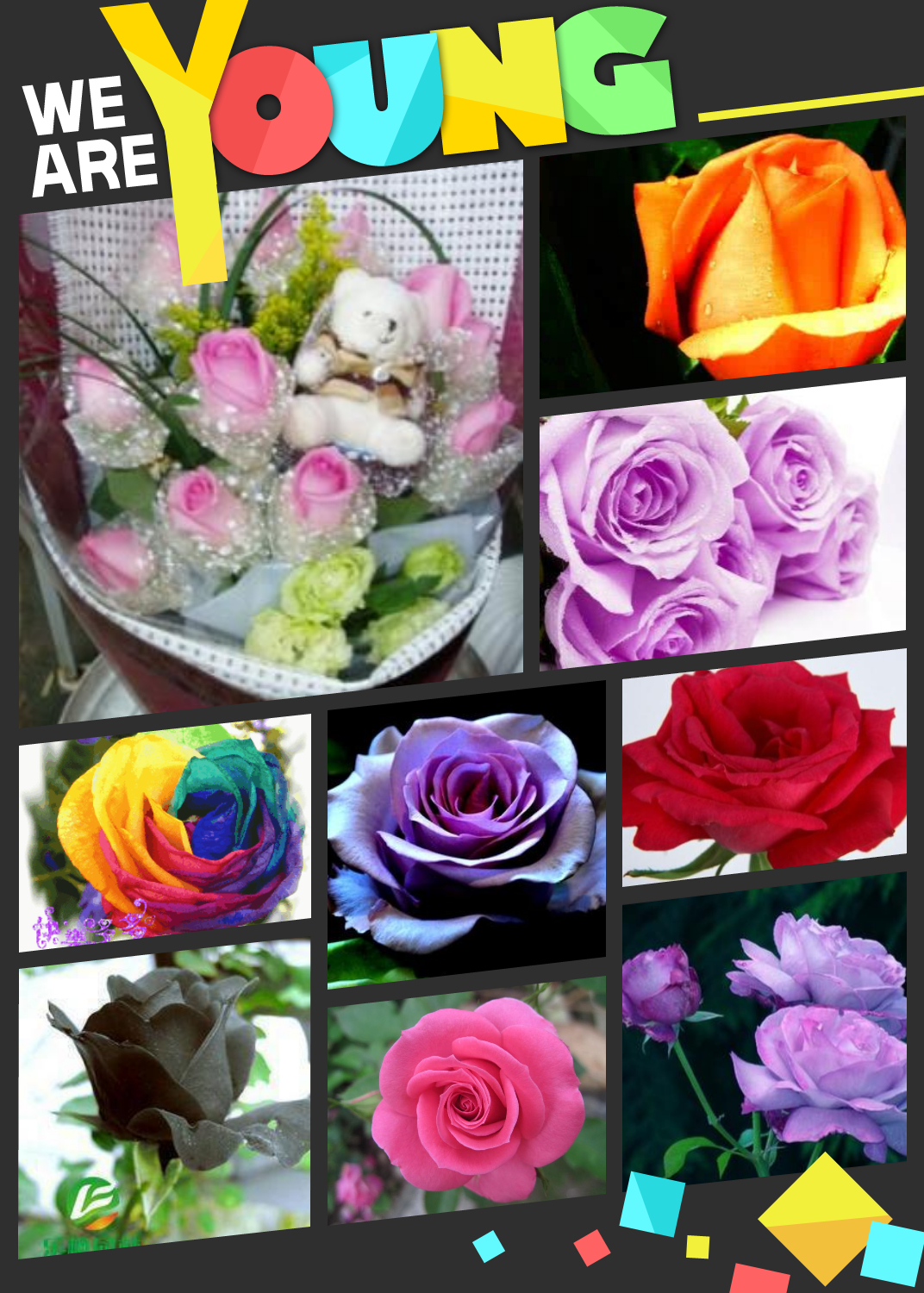 澶╅暱鍦颁箙鐖辨棤姝㈠,鐖辨棤姝㈠澶╅暱鍦颁箙