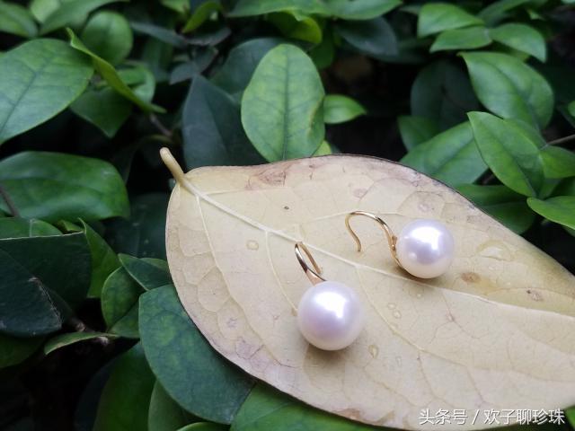 欢子聊珍珠直播,欢子说珍珠完整版