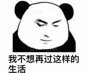 2万全款的猎豹,2万猎豹迈途