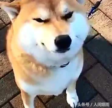 朋友圈鄙视链,朋友圈里的鄙视链是这样的