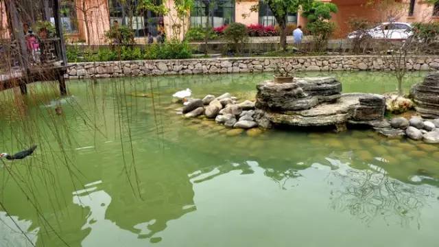 《欢乐颂2》关关谈恋爱的地方曝光！广州周边也有！美炸了！