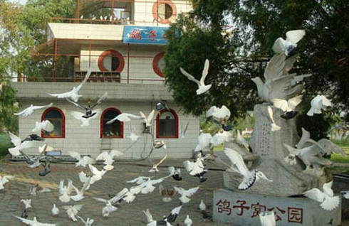 鸽子窝公园看日出免费,鸽子窝公园看日出时间2020