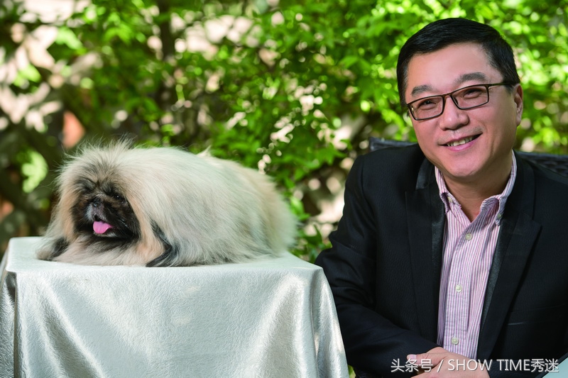 记录宠物和主人的故事,宠物与主人的感人故事集