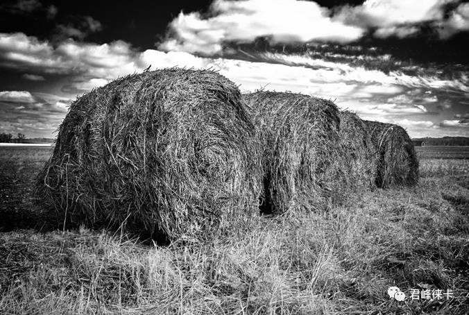 我喜欢街头摄影，要不要选28mm镜头？