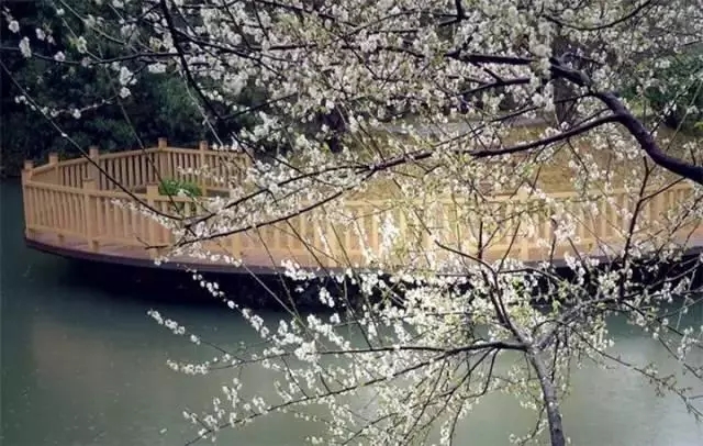 双人自助午餐立减后104元,双人午餐海鲜烤肉自助广州