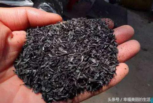 花草除虫的最佳方法,盆栽花除虫防虫技巧