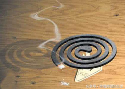 花草除虫的最佳方法,盆栽花除虫防虫技巧