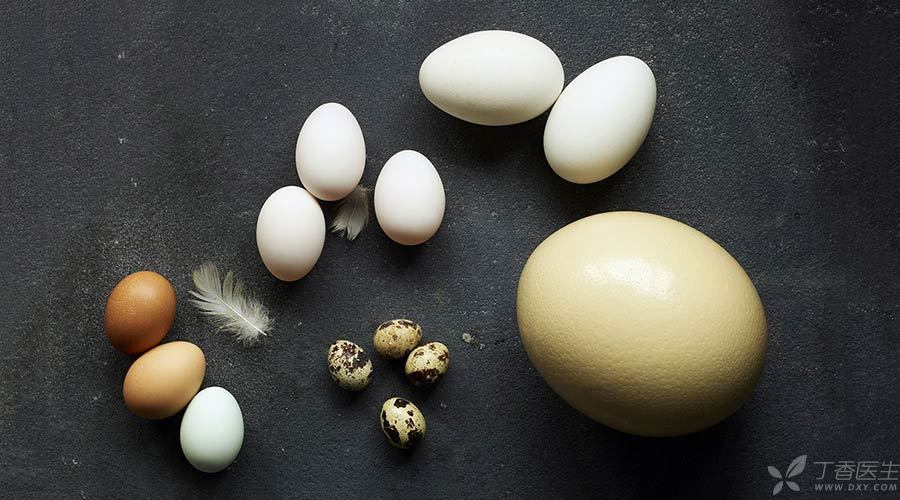 鸡蛋鸭蛋鹅蛋鸽子蛋哪个最有营养,鸡蛋鹅蛋鸽子蛋的营养有什么差别