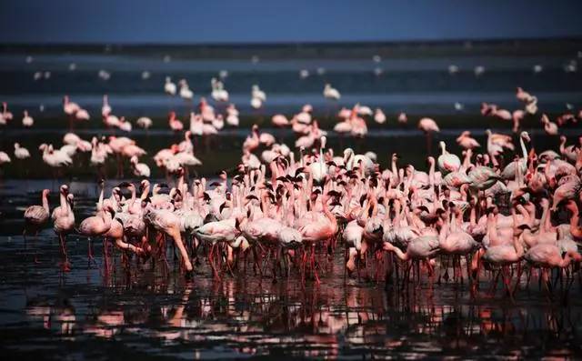 一生必去的地方,一生必去的地方高清