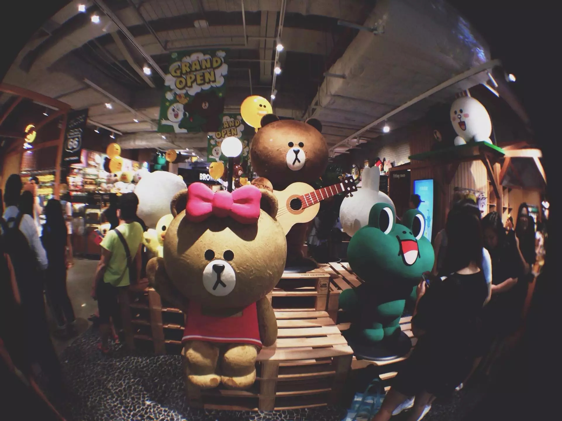 喜欢布朗熊可妮兔的你快看过来!