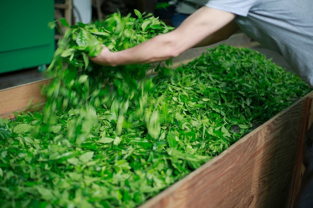 真正的金骏眉是什么样子的,金骏眉究竟什么样子的