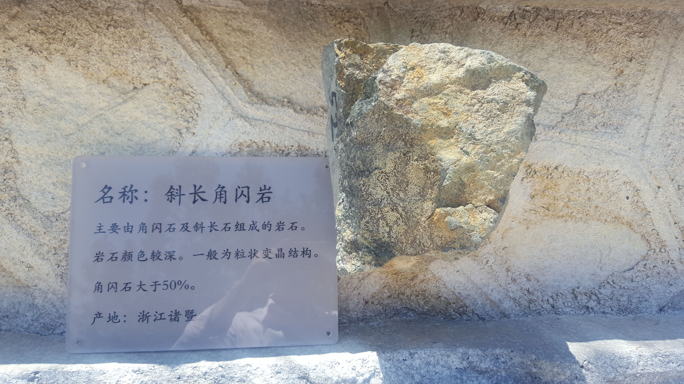 加强高等职业院校学生的技能培训,高等职业教育实训基地