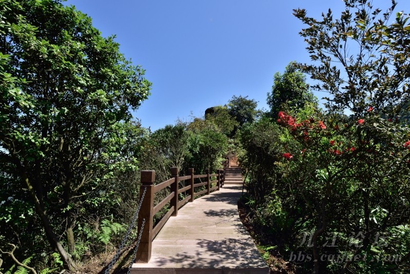 江津古色古香古镇,江津隐藏的地方