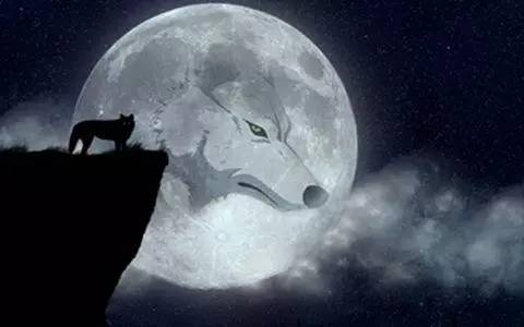 你我本无缘分全靠机缘巧合,你我之间本无缘分全靠我硬撑