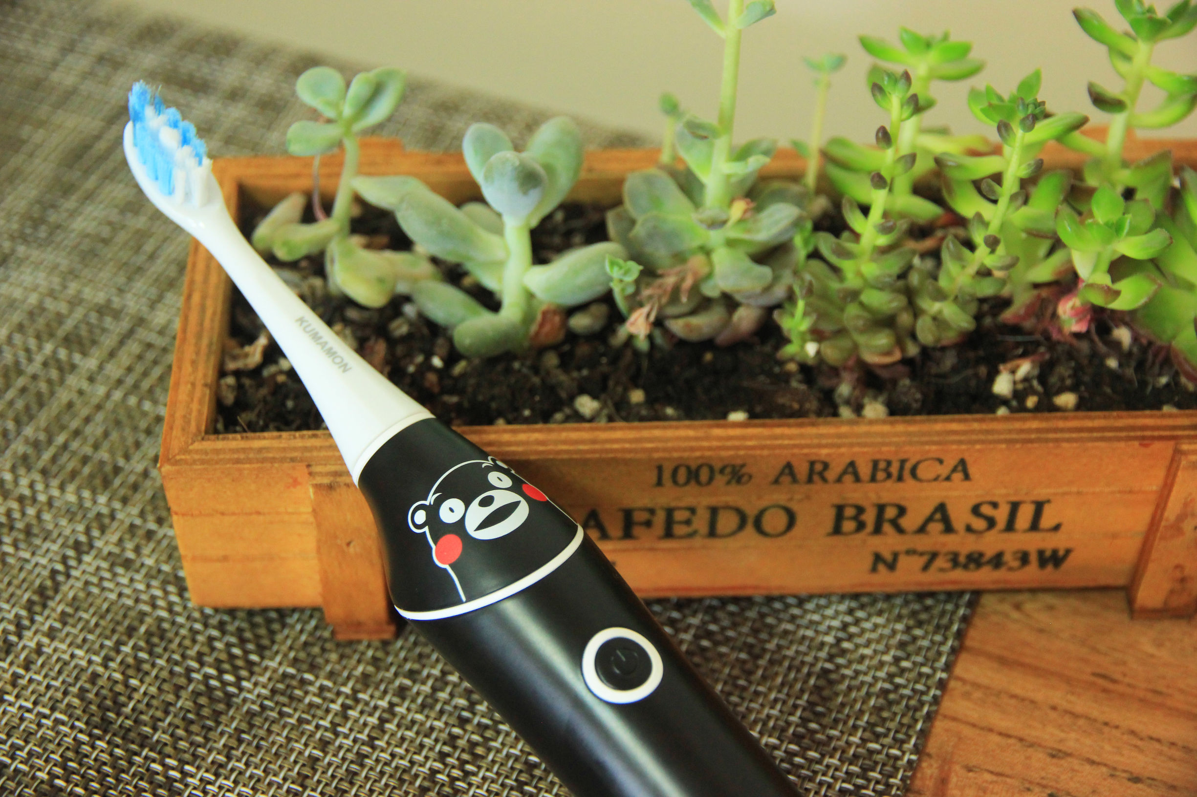 耍萌卖贱本部长索纳斯熊本定制版电动牙刷