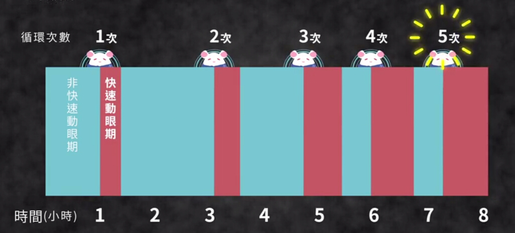 周三说梦:原来“晨勃”居然跟做梦有关!