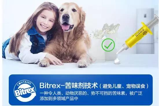 蟑螂老鼠蚊子苍蝇哪个最难对付,怎么对付蟑螂和蚊子和蚂蚁