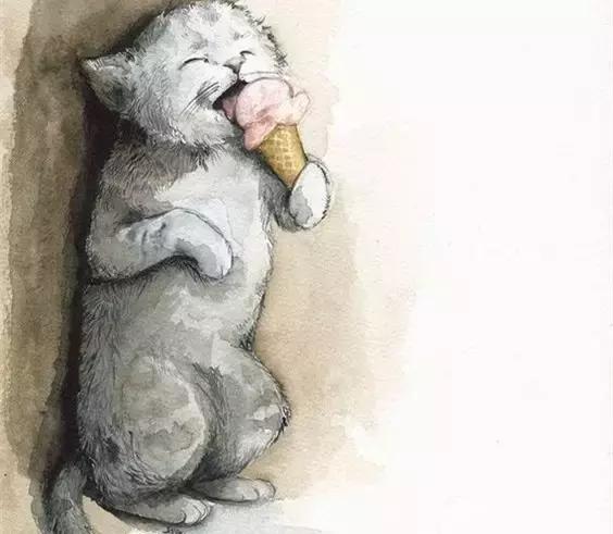 冬天该如何养猫才不会被冻死,长毛猫多久洗澡比较好