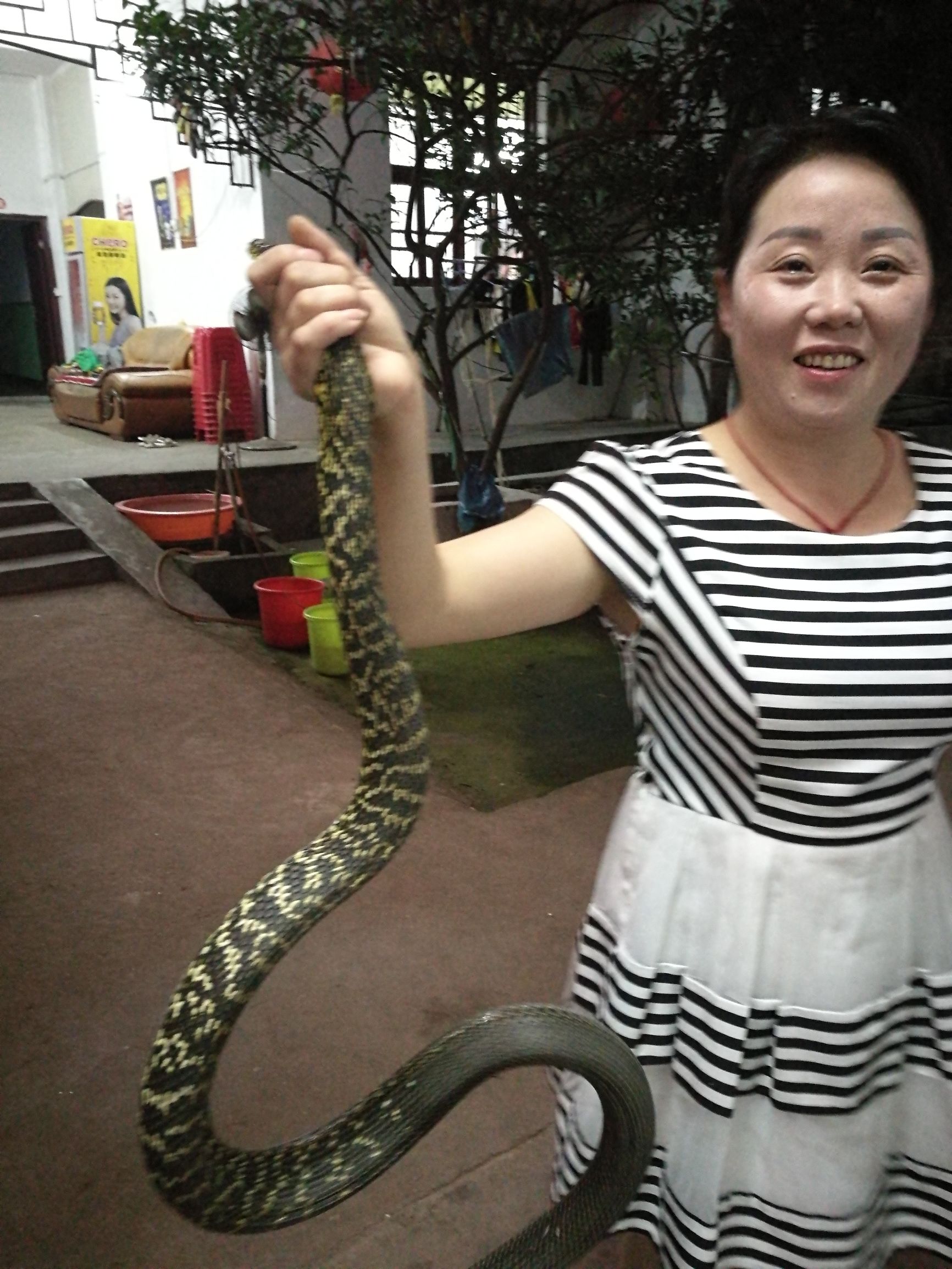 村姑抓黄鳝,村姑野外抓鱼