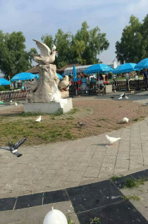 鸽子窝公园看日出免费,鸽子窝公园看日出时间2020