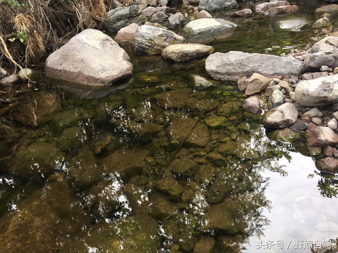 野鹅自驾:一个小泉眼,却养活了整个村子,冒出的气泡酷似珍珠!