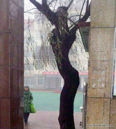 《每日一乐》都有土豪金版共享单车了