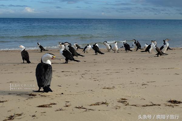 36个必须知道的澳洲旅行贴士,澳洲昆士兰州自由行攻略