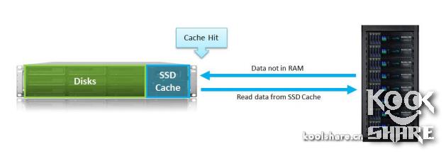 拥抱分解版,拥抱全文阅读