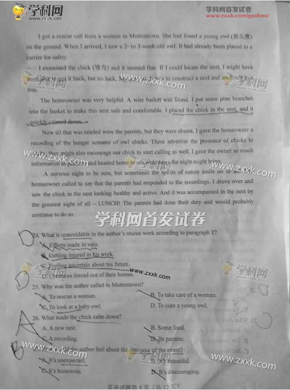 2017英语高考全国卷1答案,2017年高考全国1卷英语试题