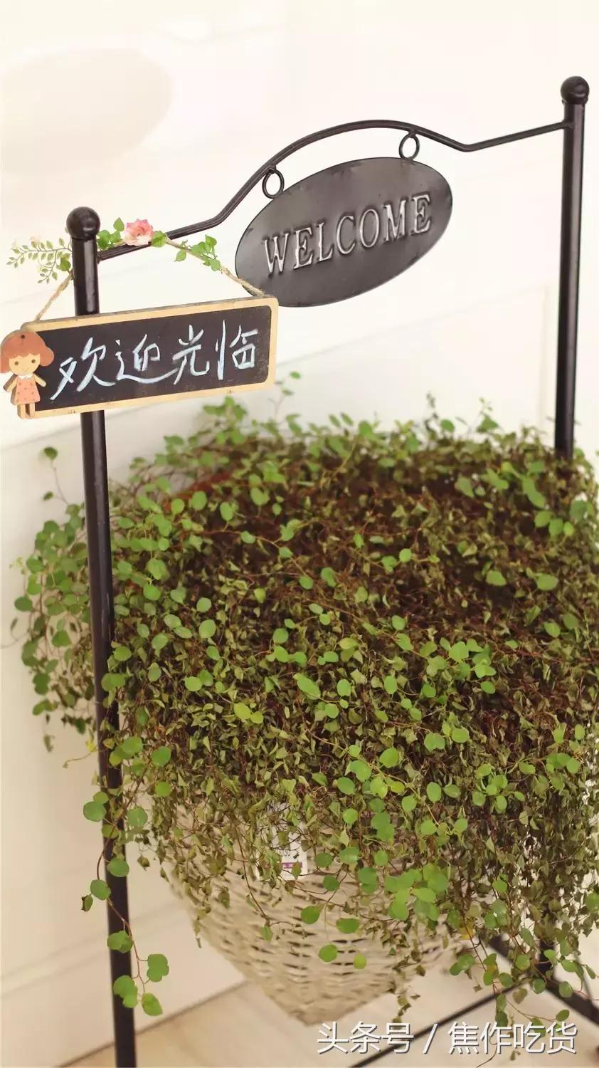 男朋友问我为什么这么美怎么回,男朋友问你怎么变美了