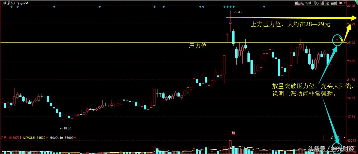 深赤湾a股票现在代码,深赤湾a最新消息