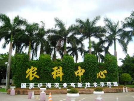 珠海浪漫之城风景图,珠海浪漫城市旅游攻略