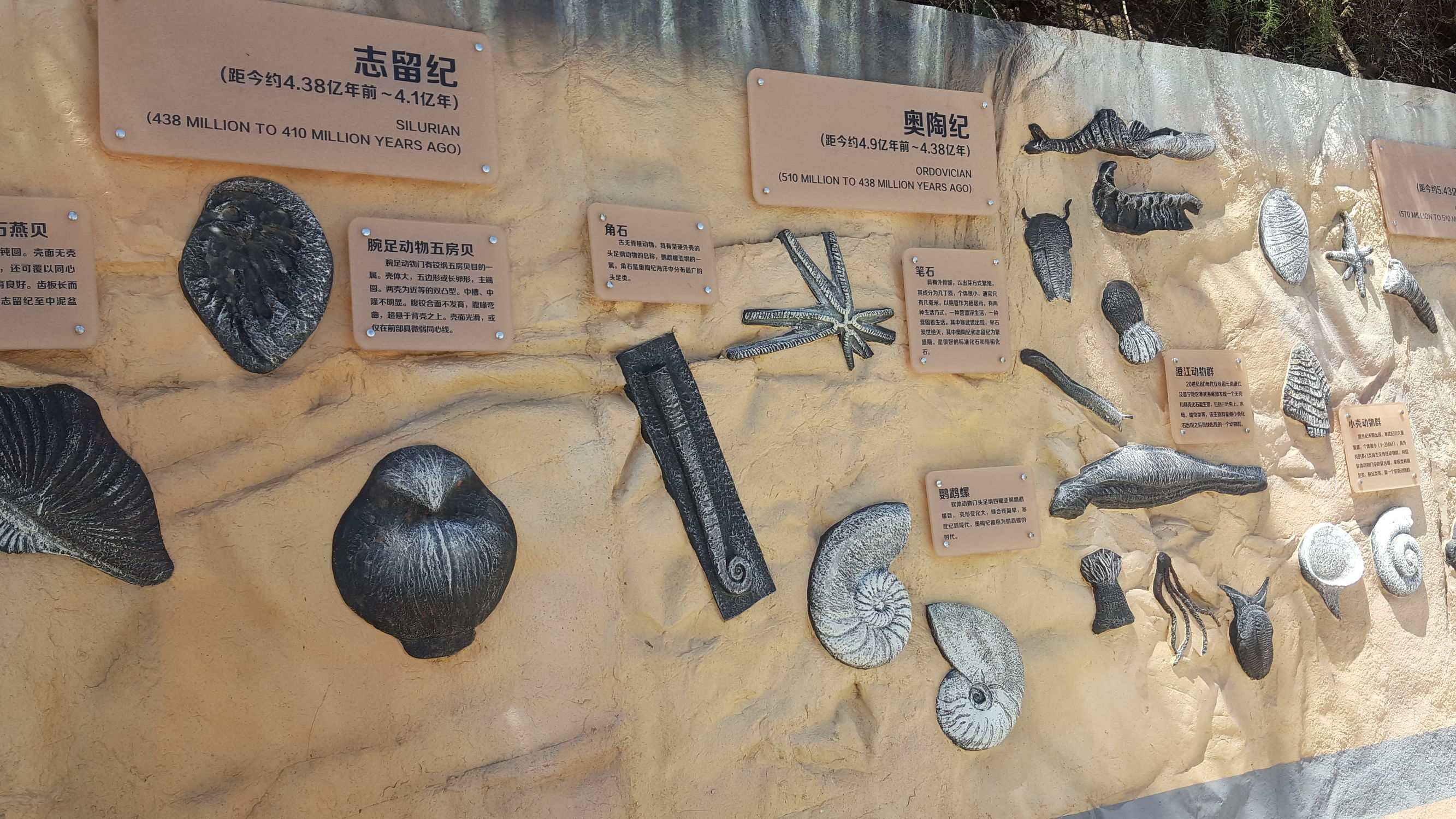 加强高等职业院校学生的技能培训,高等职业教育实训基地