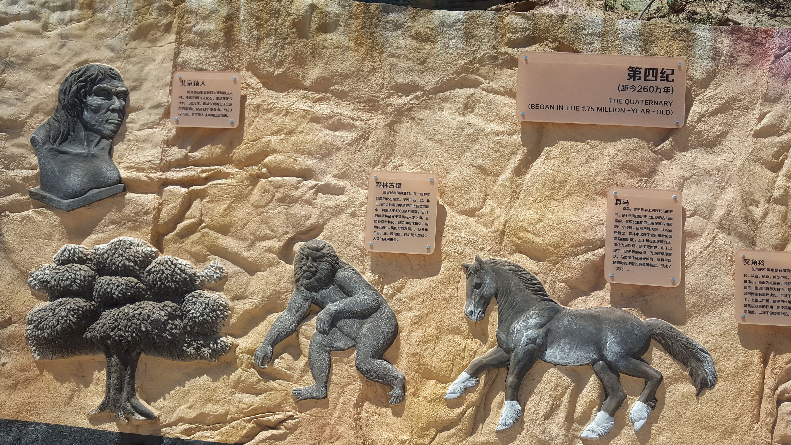 加强高等职业院校学生的技能培训,高等职业教育实训基地