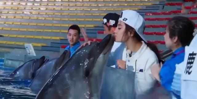 热巴亲海豚是什么时候,热巴和海豚