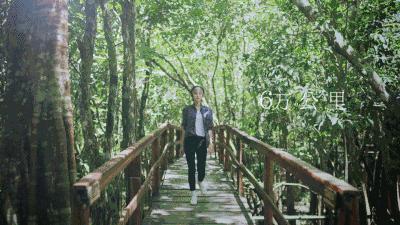 花少3的结局,花少3有江疏影吗