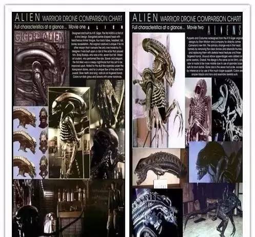 异形契约详细解析,观看异形契约