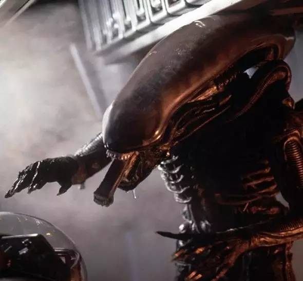 异形契约详细解析,观看异形契约