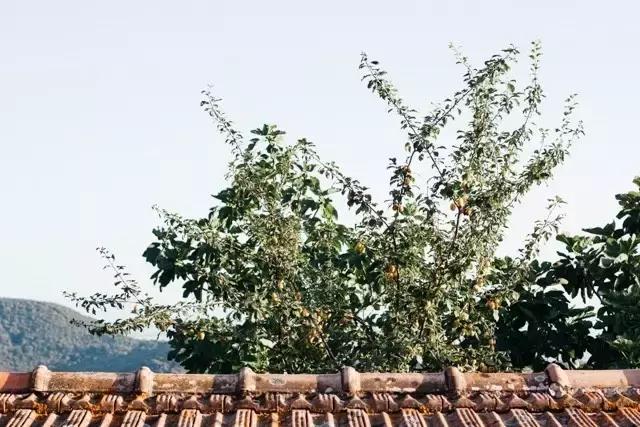 灵感寻味｜托斯卡纳，咸味兜风